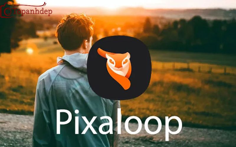 Pixaloop