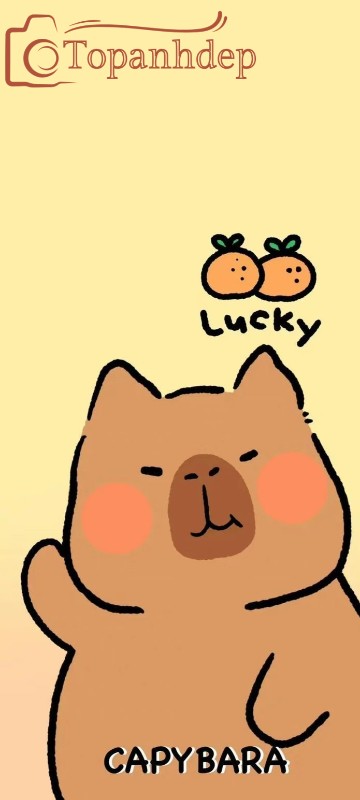 Hình nền capybara cute, mũm mĩm làm trái tim fan loạn nhịp