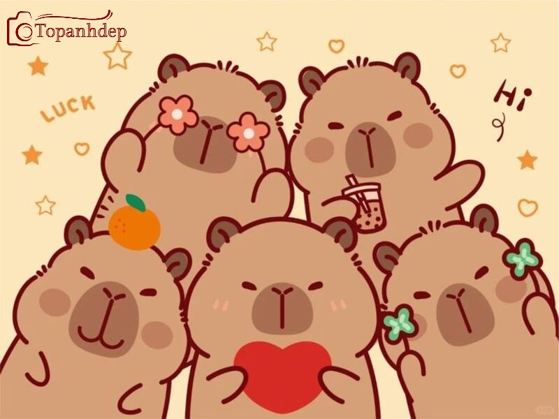 Hình nền Capybara đang tạo dáng dễ thương